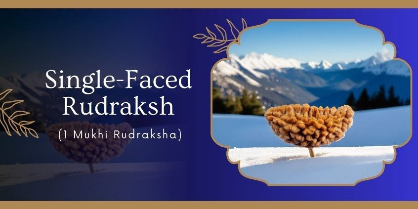 Single-Faced Rudraksh (1 Mukhi Rudraksha)